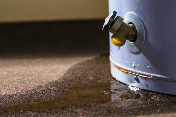 Best Local water damage restoration  in North Scituate, MA