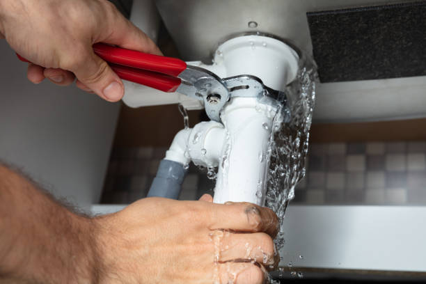 Best Mold removal after water damage  in North Scituate, MA