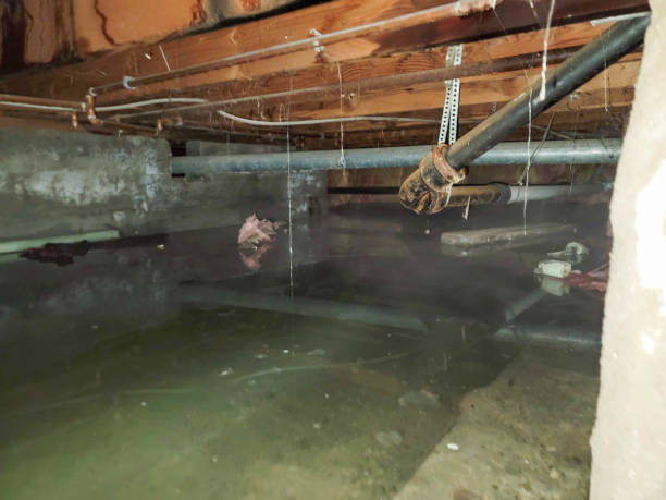 Best Ceiling water damage repair  in North Scituate, MA