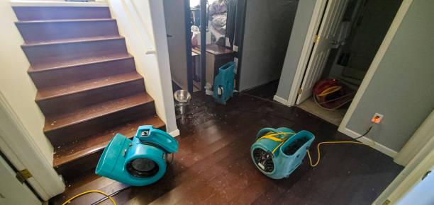 Best Water damage cleanup near me  in North Scituate, MA