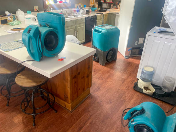 Best Water damage restoration near me  in North Scituate, MA
