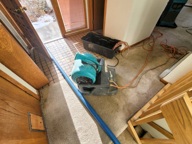 Best Flood damage cleanup  in North Scituate, MA