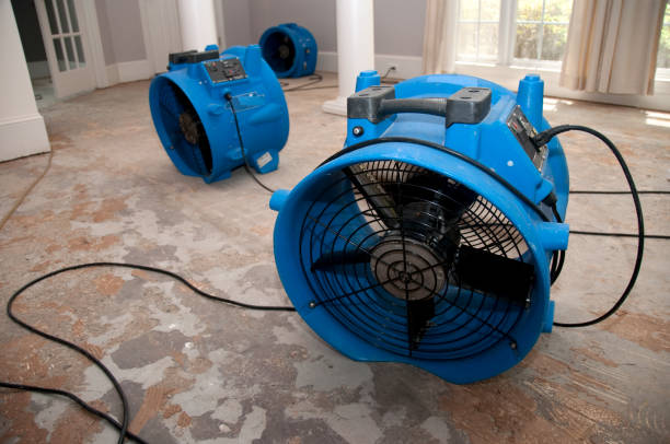 Best Sewage cleanup and water damage restoration  in North Scituate, MA