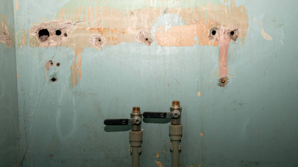 Best Sewage cleanup and water damage restoration  in North Scituate, MA